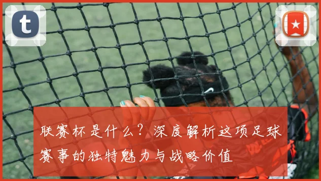 联赛杯是什么？深度解析这项足球赛事的独特魅力与战略价值